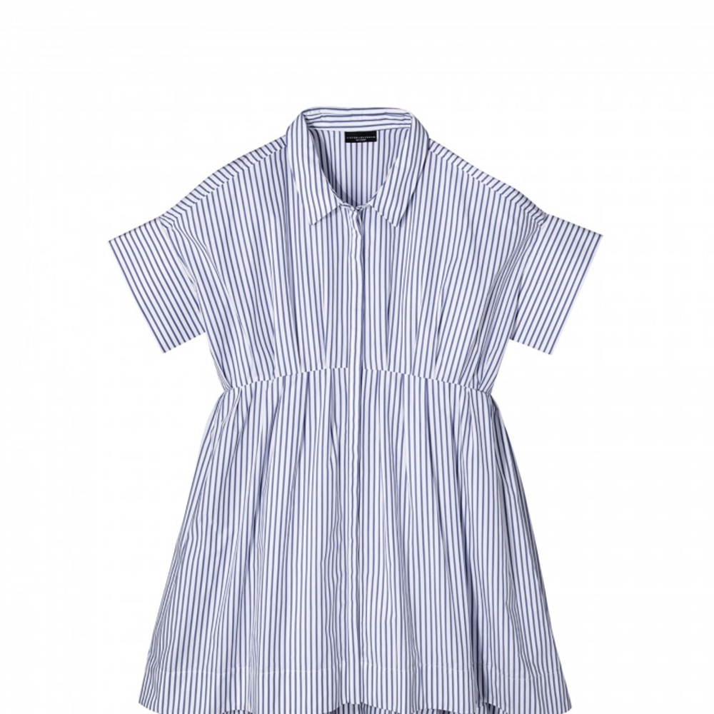 Blue Women's Stripe Short Casual Dress